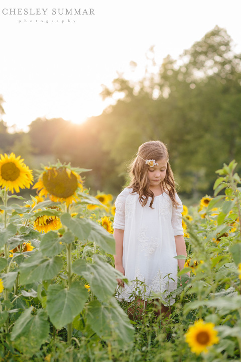 sunflower-photo-session-001